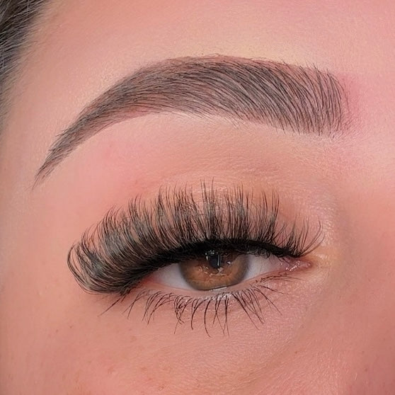 Amelia 83 5 pack - Eyeshine Cosmetics