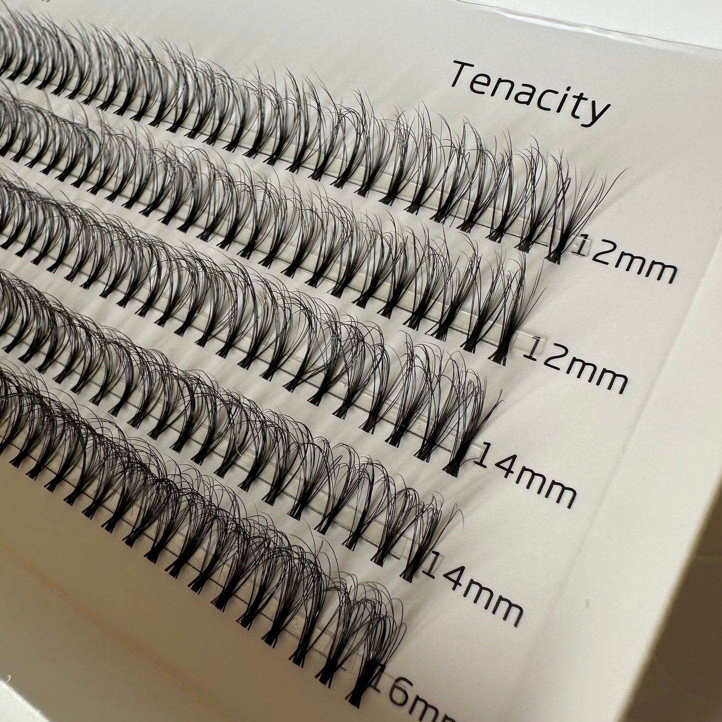 Tenacity no band small segments - Eyeshine Cosmetics