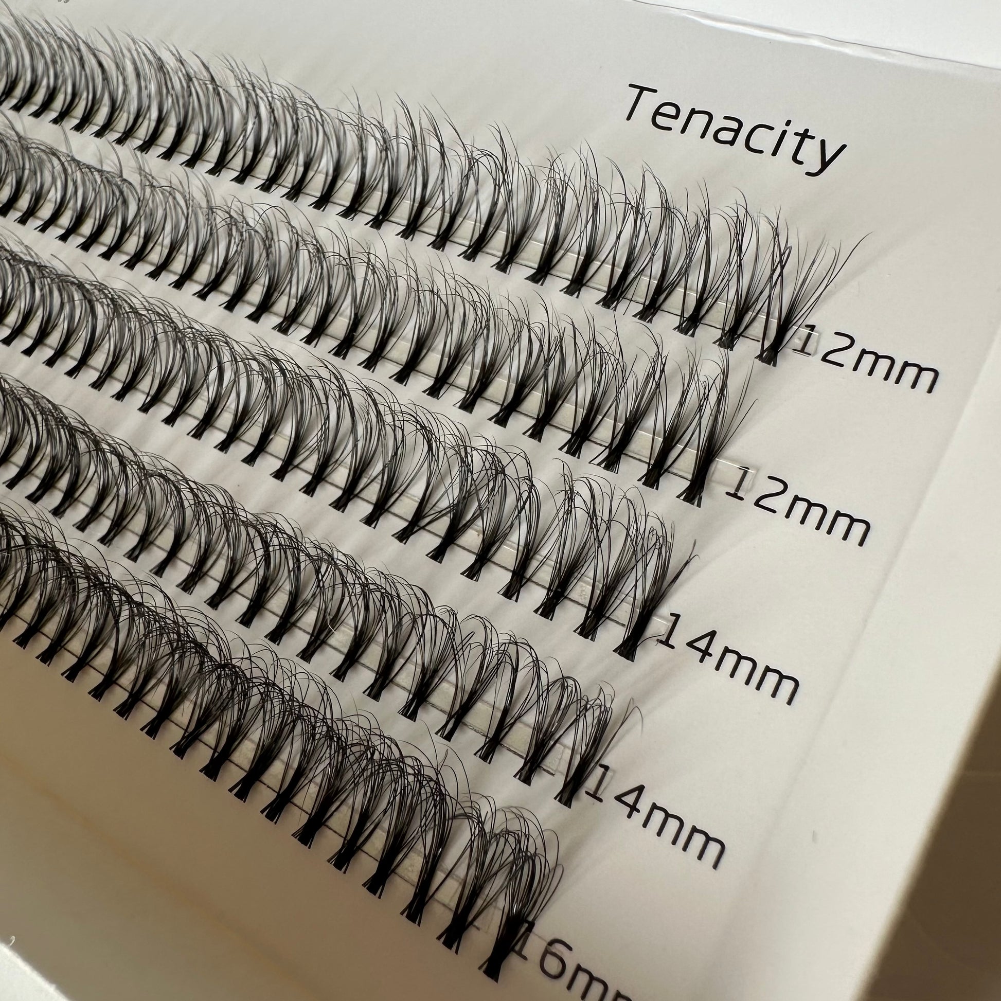 Tenacity no band small segments - Eyeshine Cosmetics