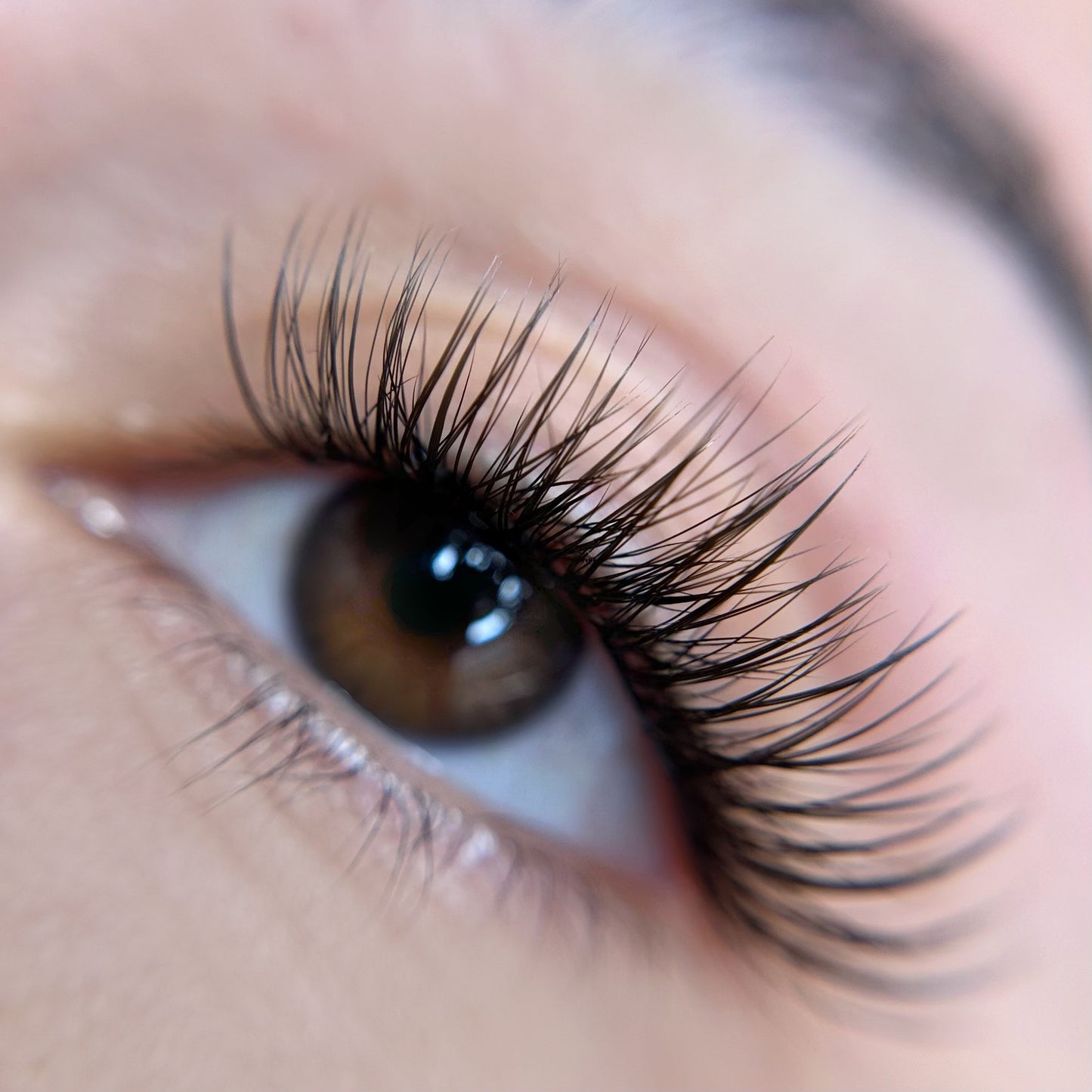 Royal Uncut Lash ribbon - Eyeshine Cosmetics