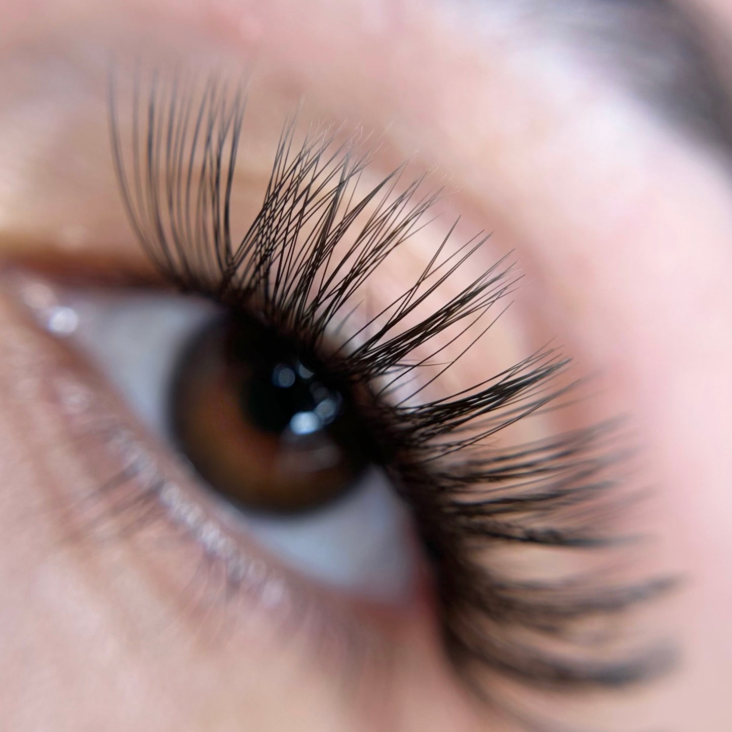 Rich Uncut Lash ribbon - Eyeshine Cosmetics
