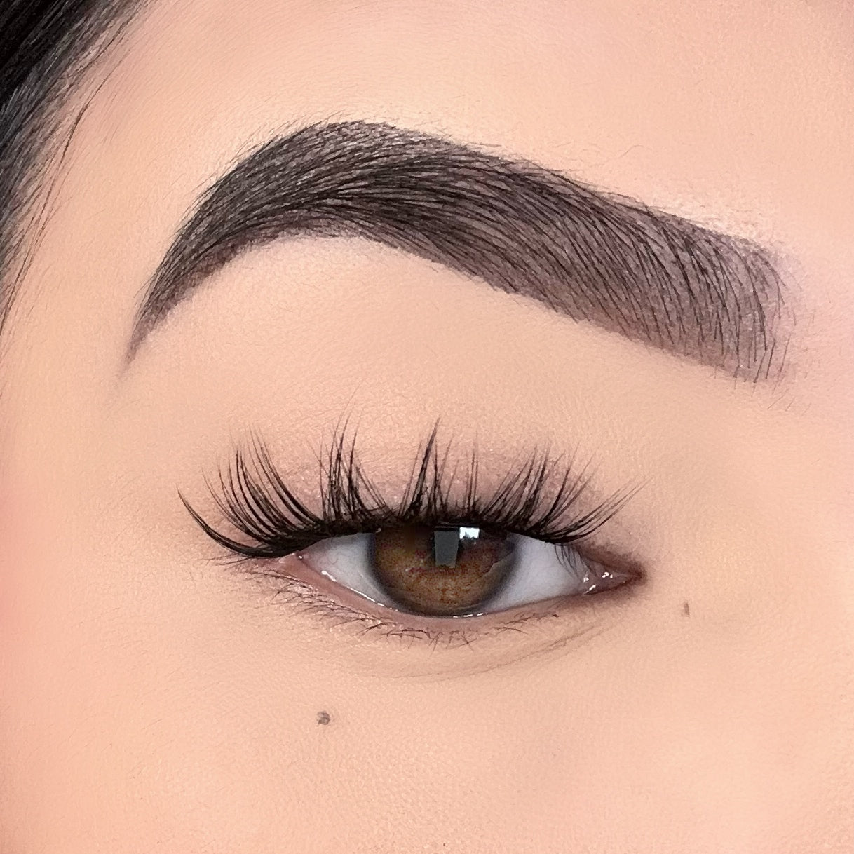 Classic set - Eyeshine Cosmetics