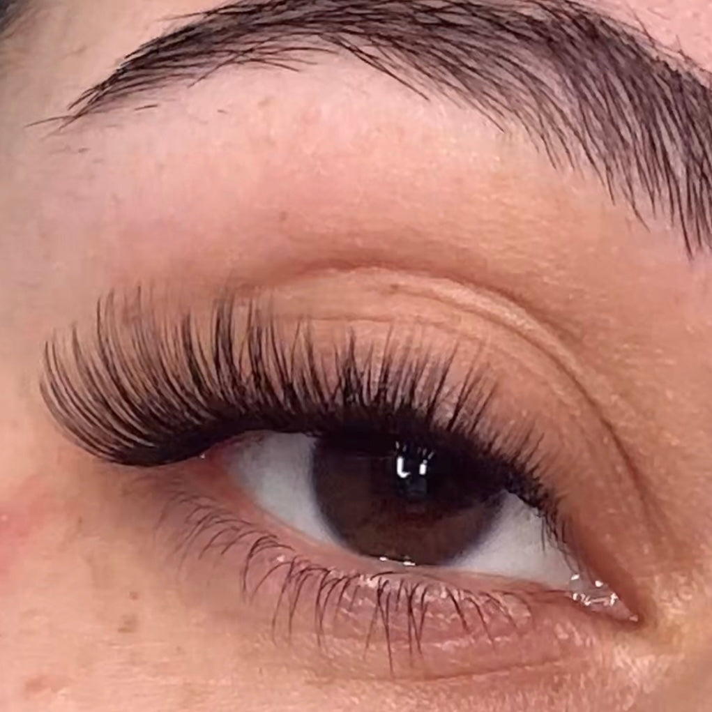 Perfection no band lashes - Eyeshine Cosmetics