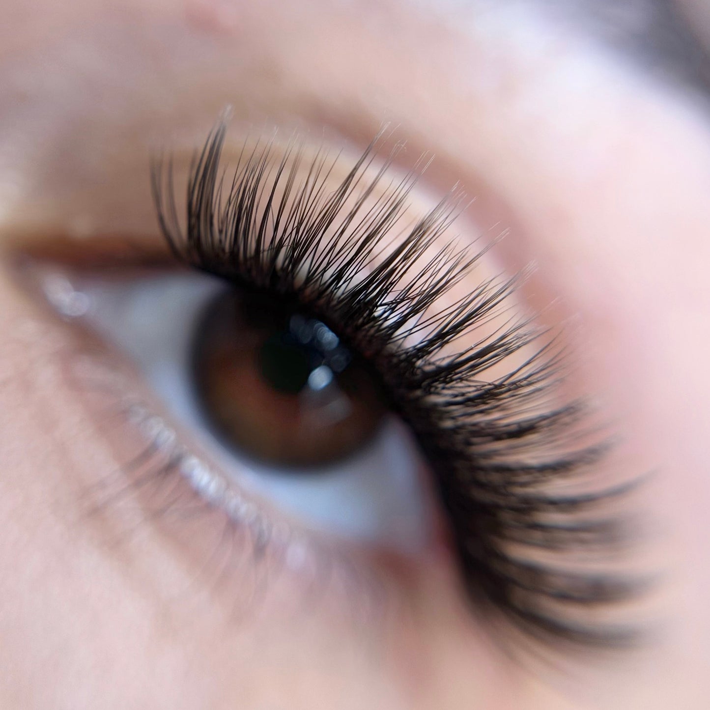 Sultry No Band Clusters - Eyeshine Cosmetics