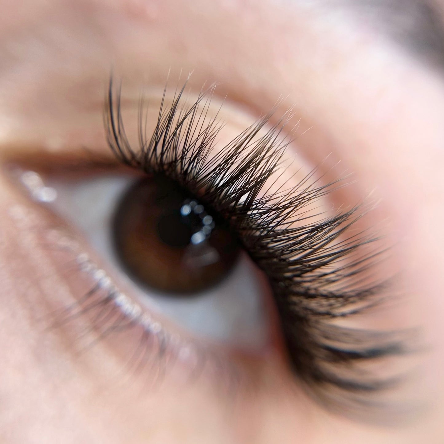 Extravagant No Band Clusters - Eyeshine Cosmetics