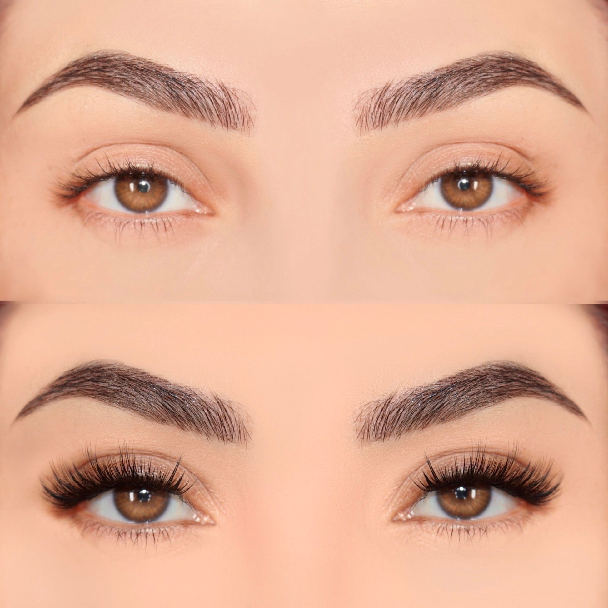 Wispy set - Eyeshine Cosmetics