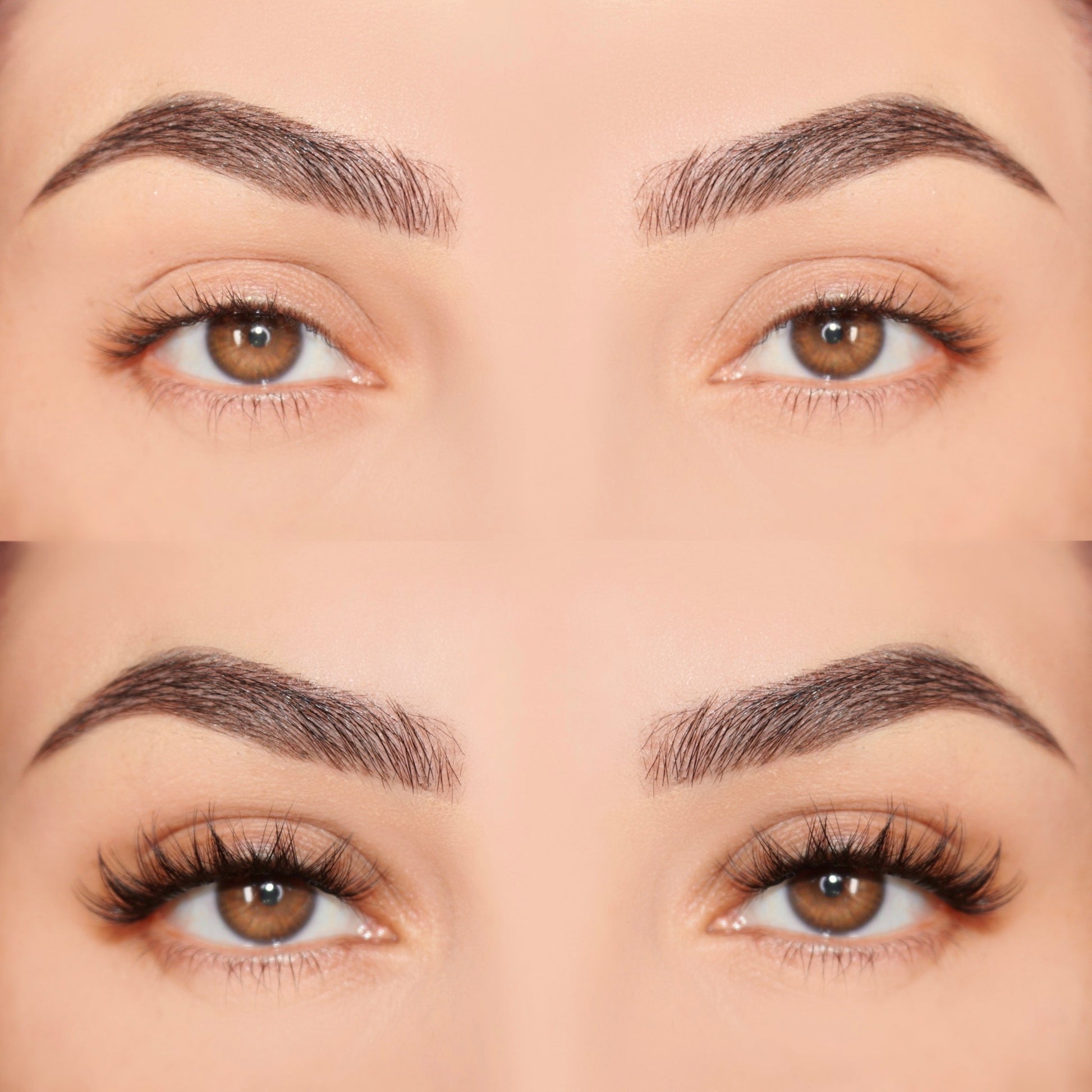Classic set - Eyeshine Cosmetics