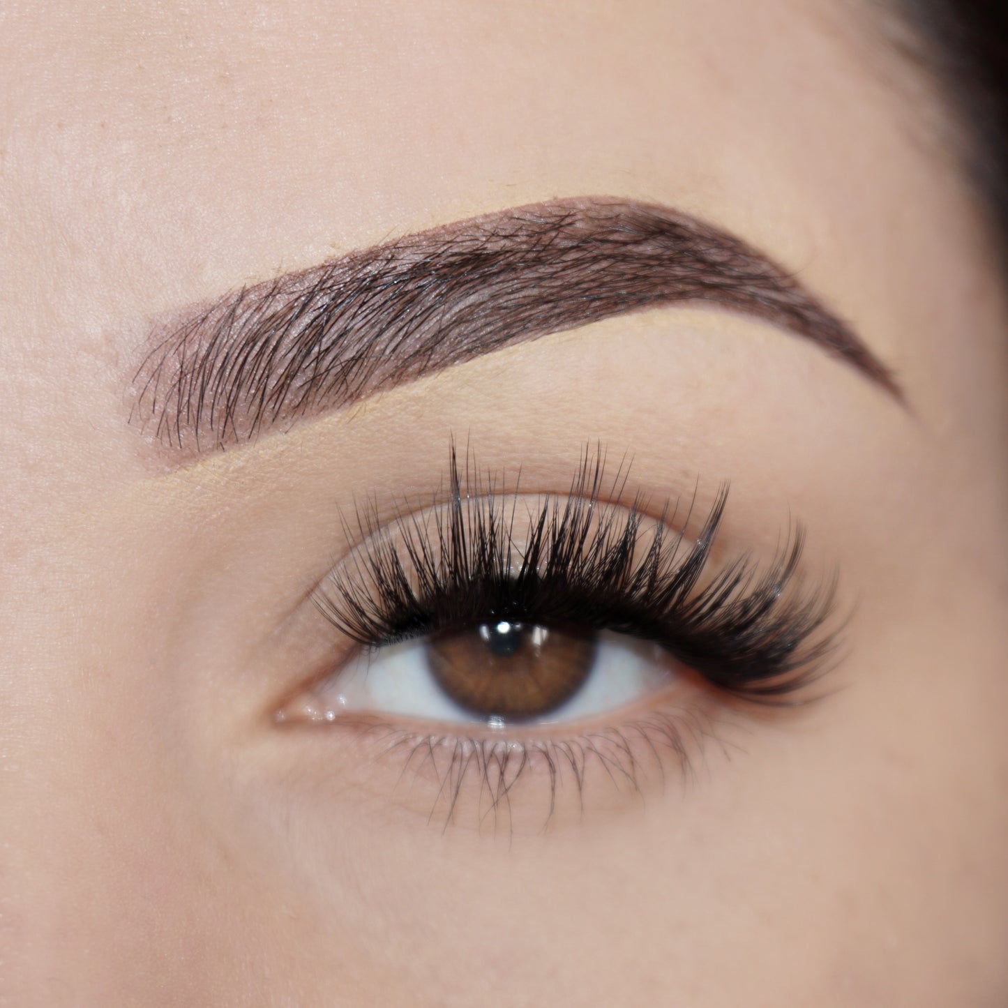 Wispy set - Eyeshine Cosmetics