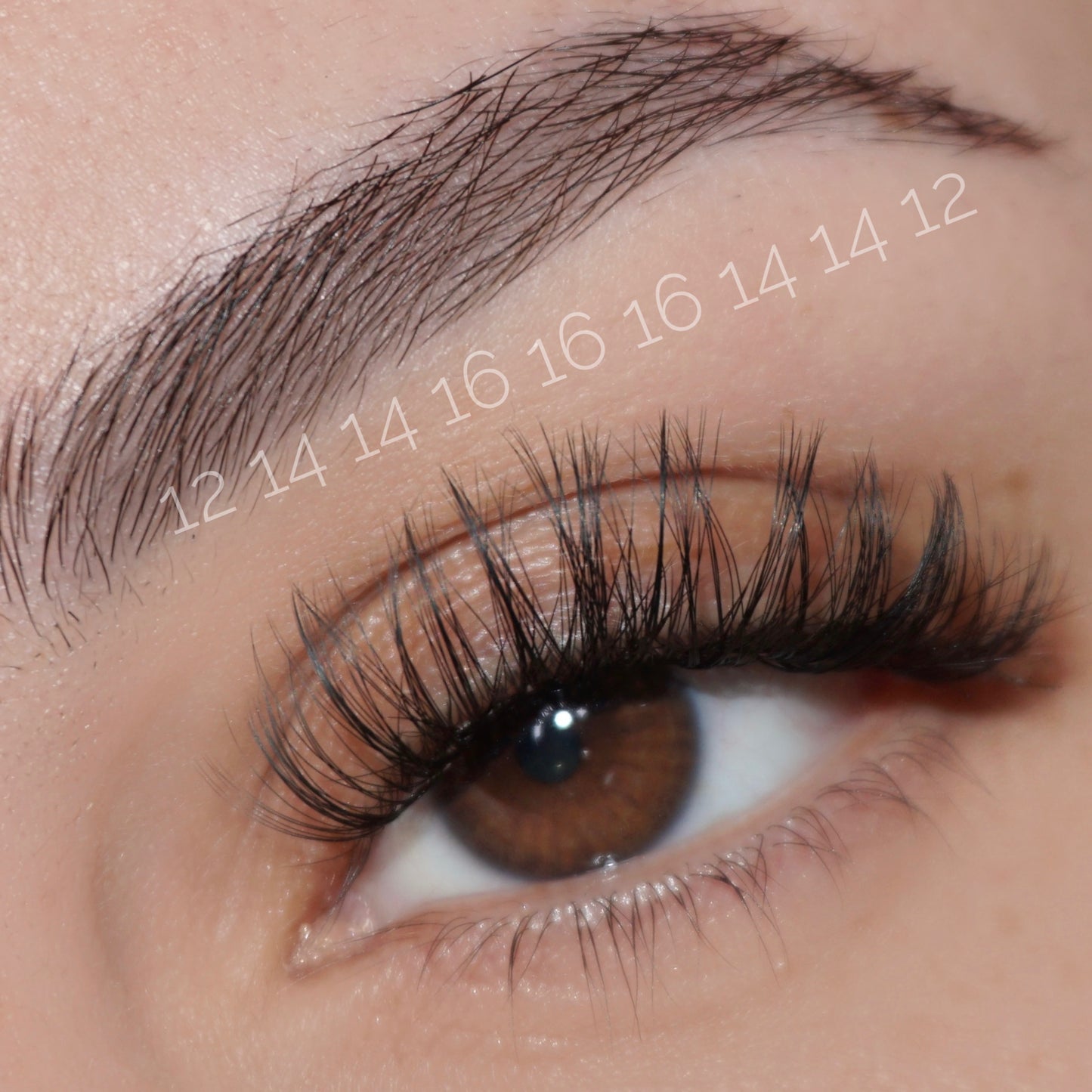 Sweet Set - Eyeshine Cosmetics