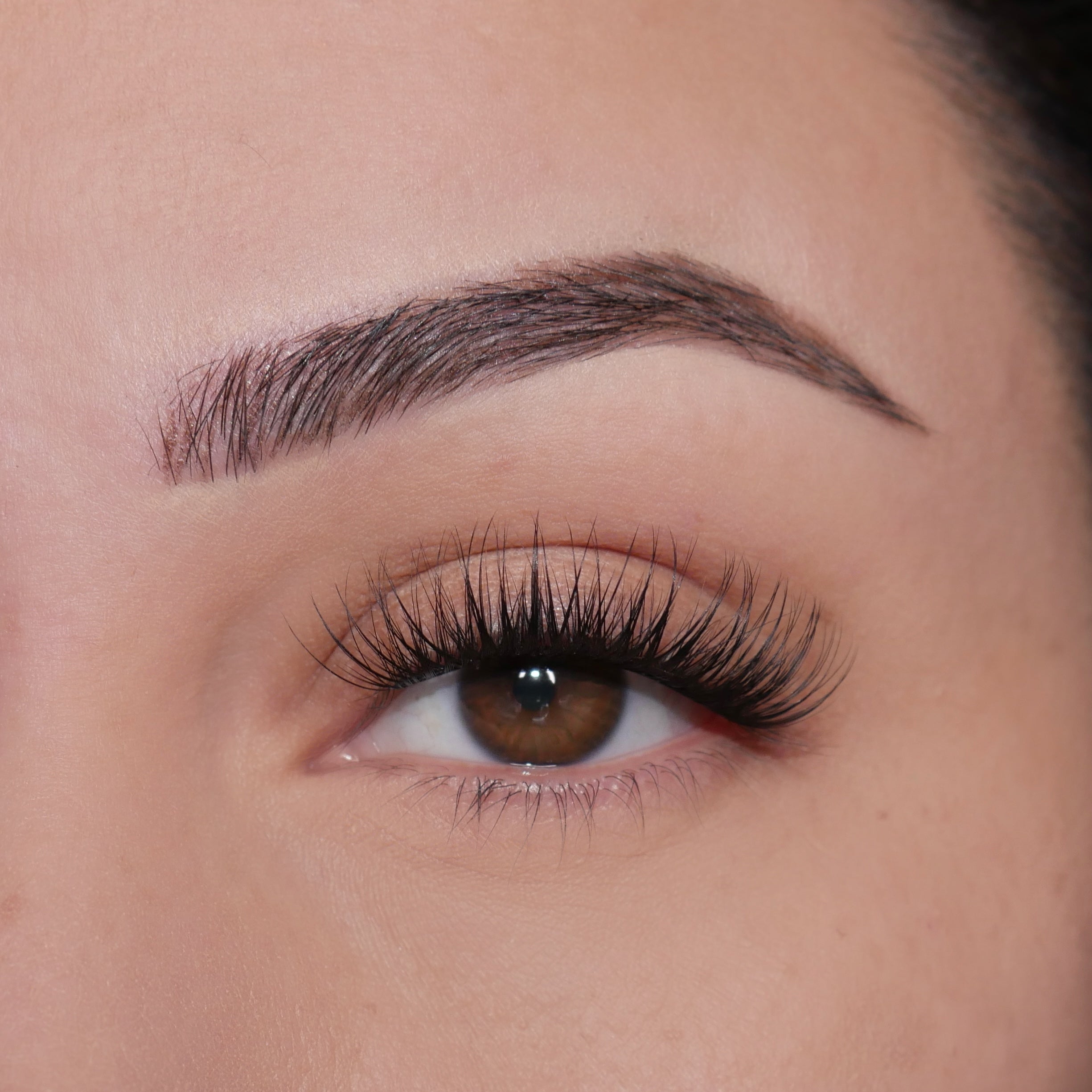 Stick & shine self adhesive under lashes