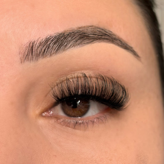 62 DD curl 5 pack lash