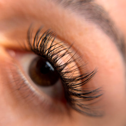 Adore lash