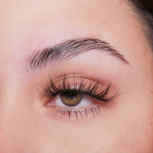 Eyeshine LAMIbrow - Eyeshine Cosmetics